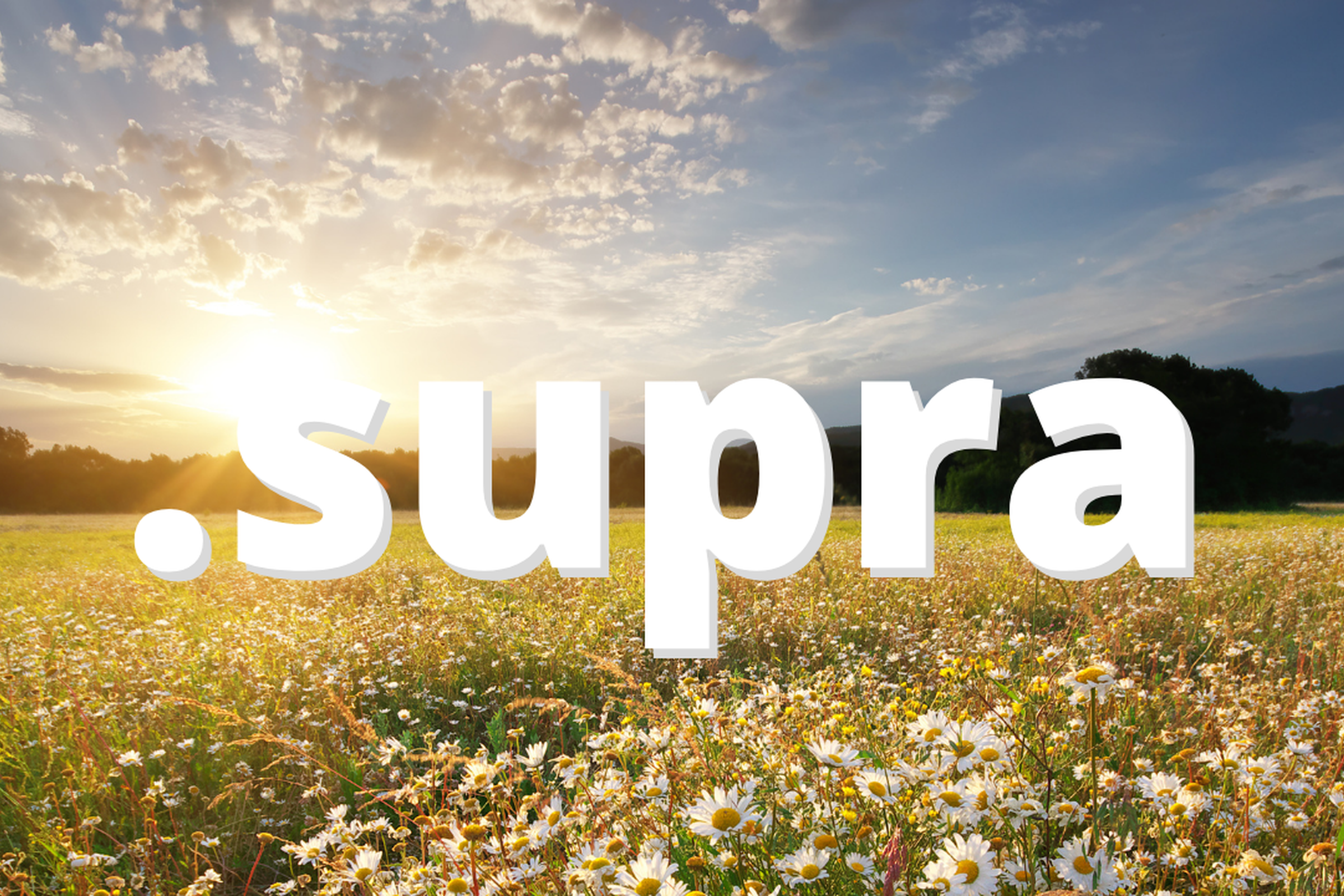 Mit .supra werden KI Workflows einfach wiederverwendbar