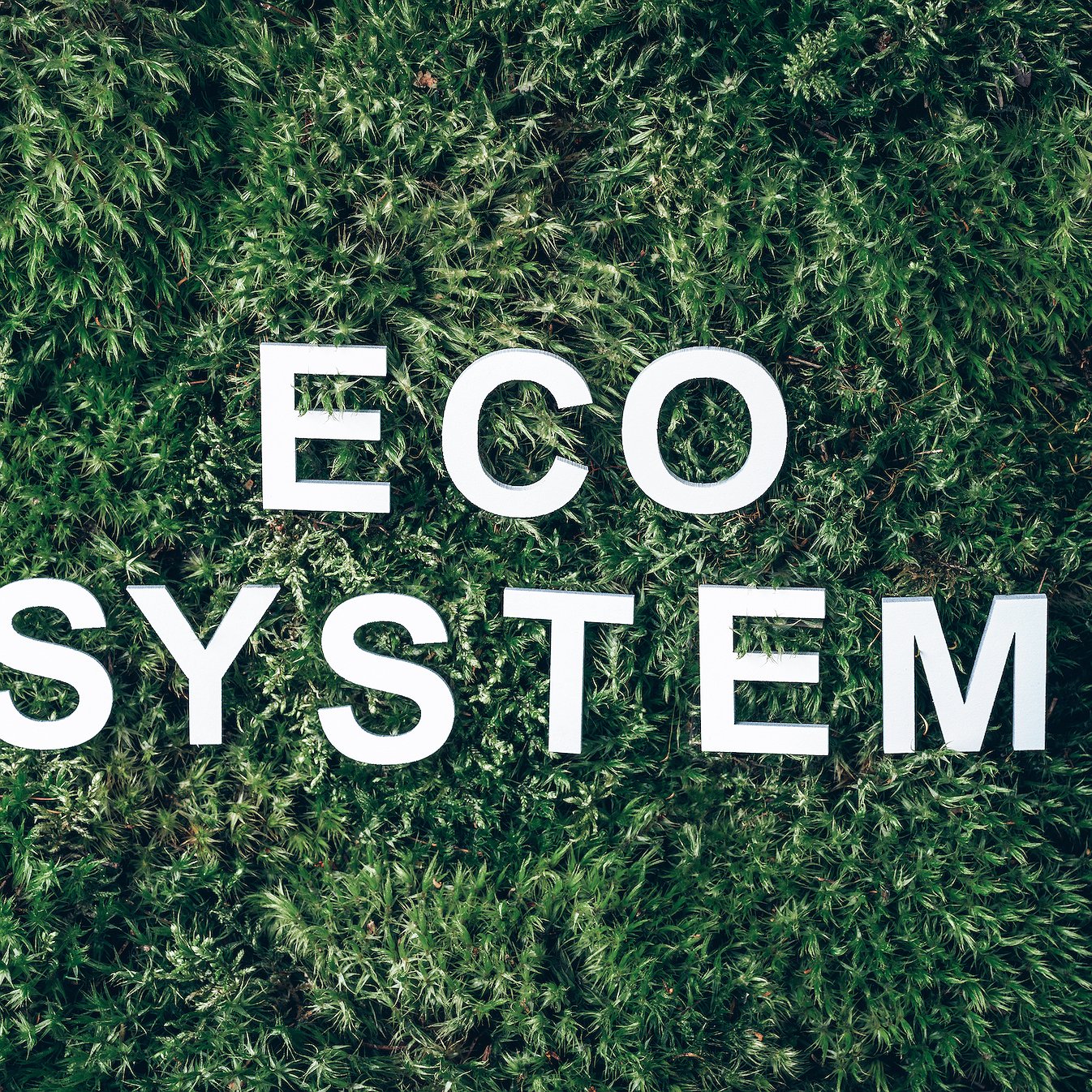 What is a Smart Learning Ecosystem?