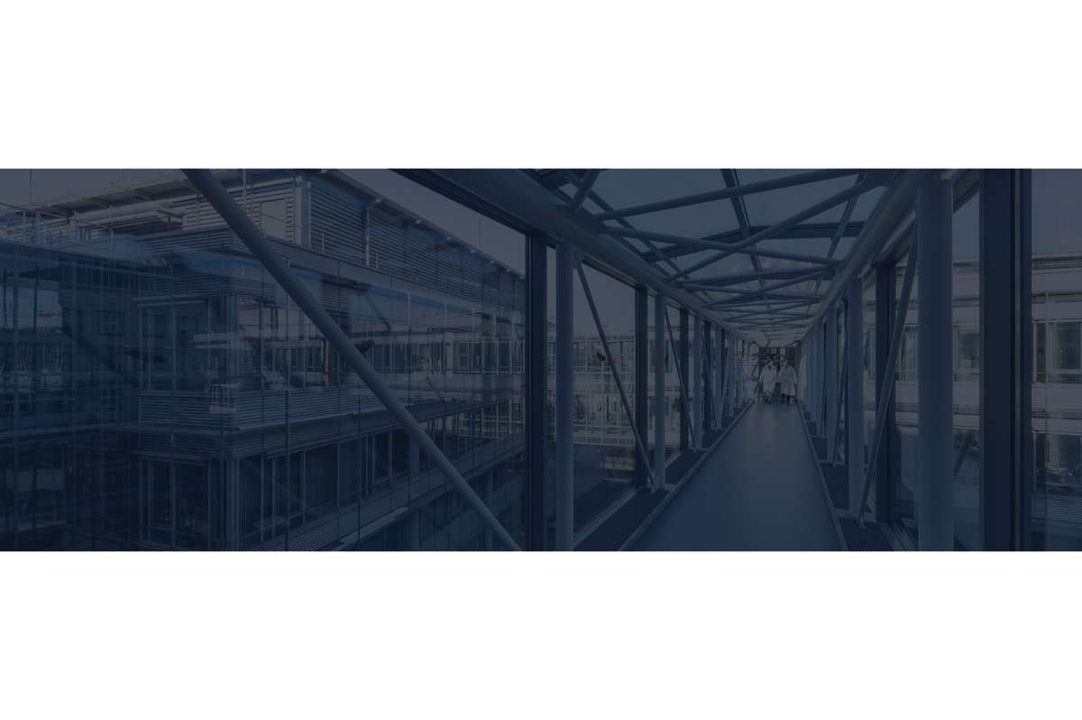 LICENSE CERTIFICATE: Envato Elements Item