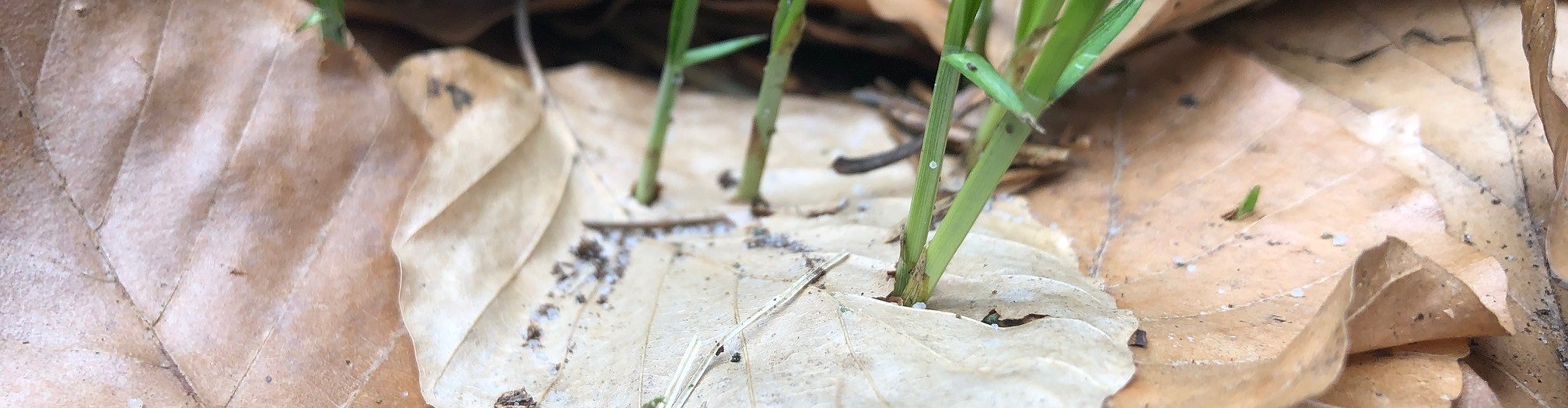 Udo Krause Background image