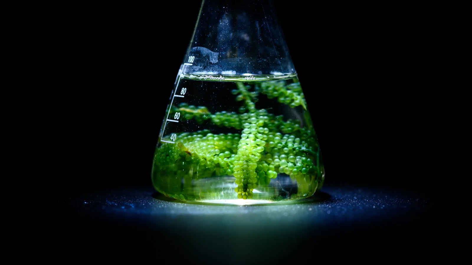 Applied-AI-Szene mit Chemie-, Biotech- und Robotik-Workflows, verbunden durch Daten- und Modellintelligenz