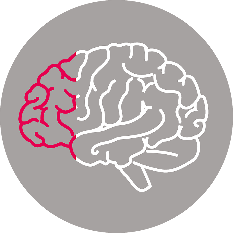 DecisionLabs-Basiskurs
