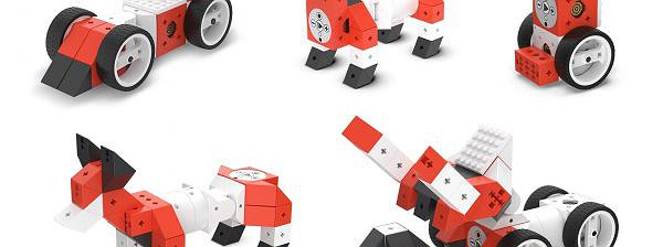 ADVANCED ROBOTICS SET