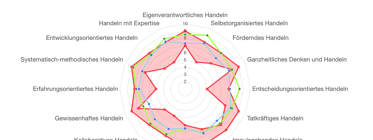 Entwicklung eines organisationsspezifischen Kompetenzmodells
